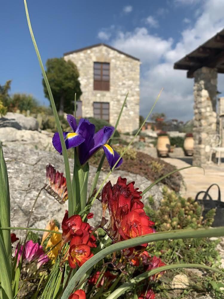 Casa Balata Farm House Realmonte Exterior foto