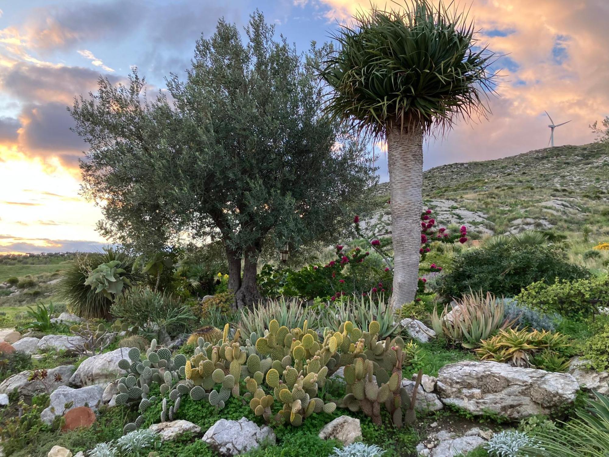 Casa Balata Farm House Realmonte Exterior foto